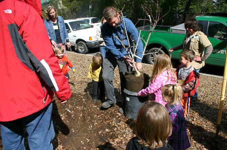 Transplanting the Tree