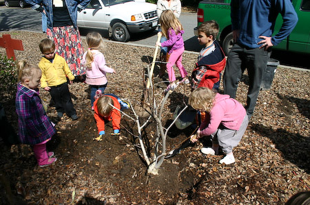 Filling In The Dirt