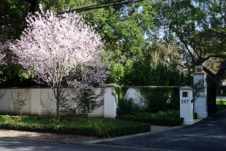 Atherton Avenue February 17, 2010