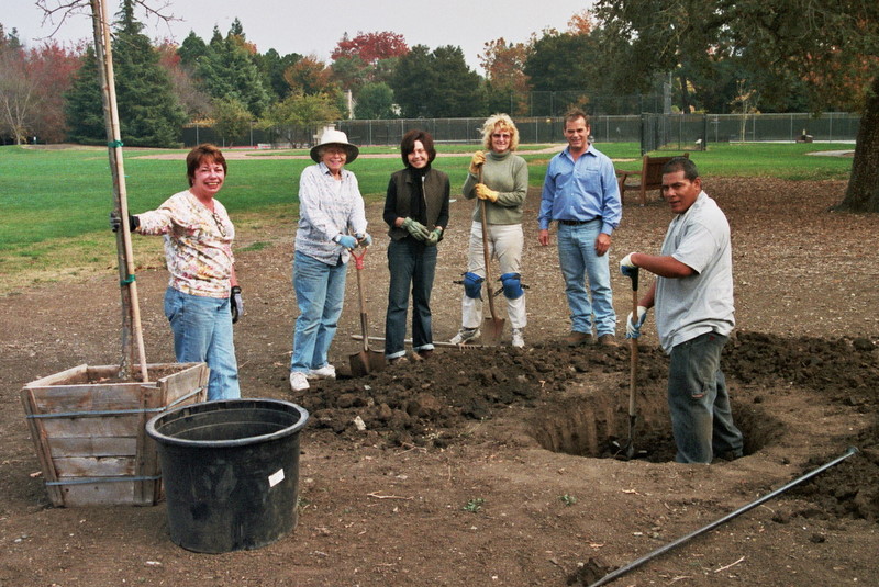 HP Tree Planting